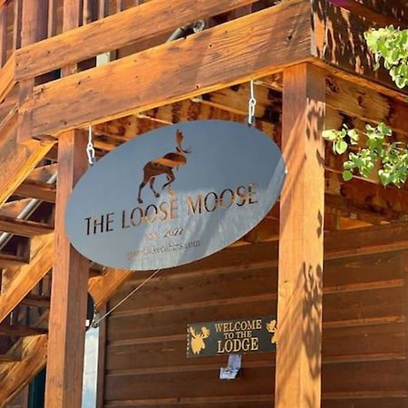 The Loose Moose Lodge #3 At Downtown Grand Lake 格兰德莱克 外观 照片